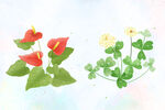 花卉插画背景素材图