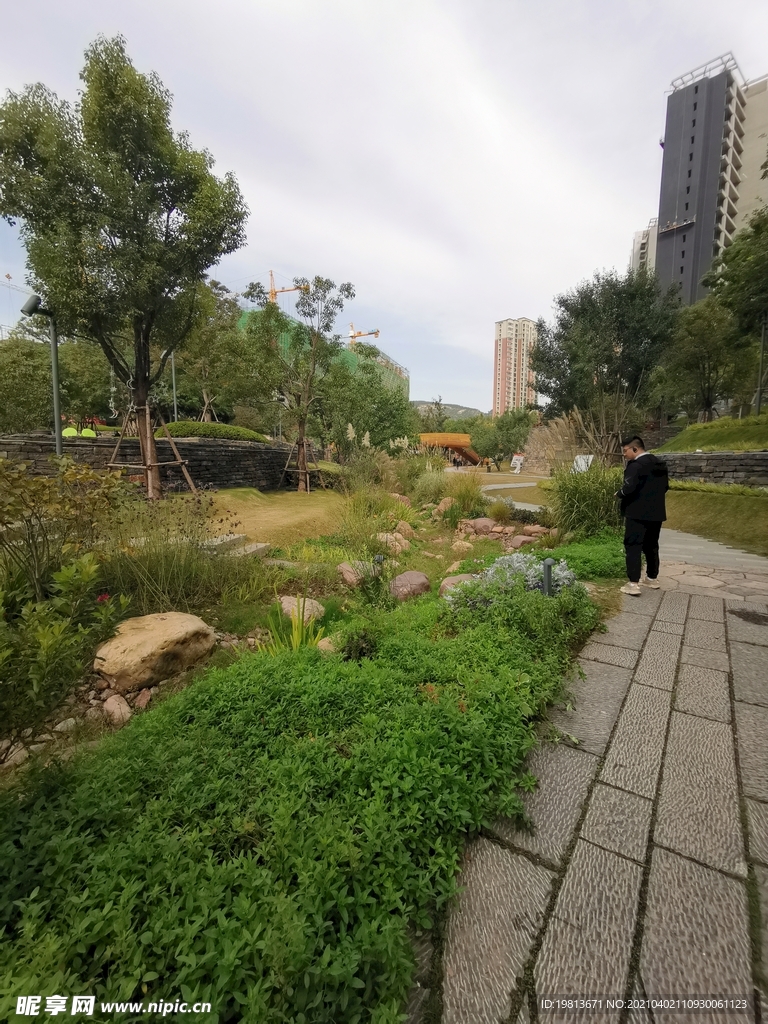 郑州   永威   金域上院 