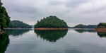 岛中王