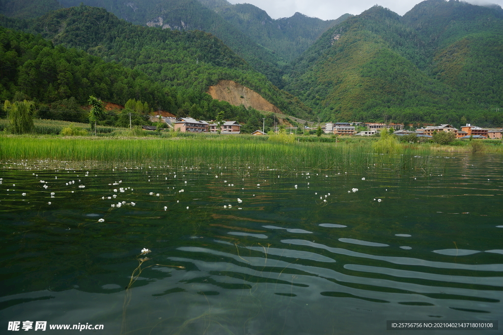 水性杨花