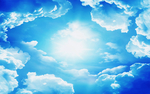 吊顶画 天空 蓝天 白云 白鸽