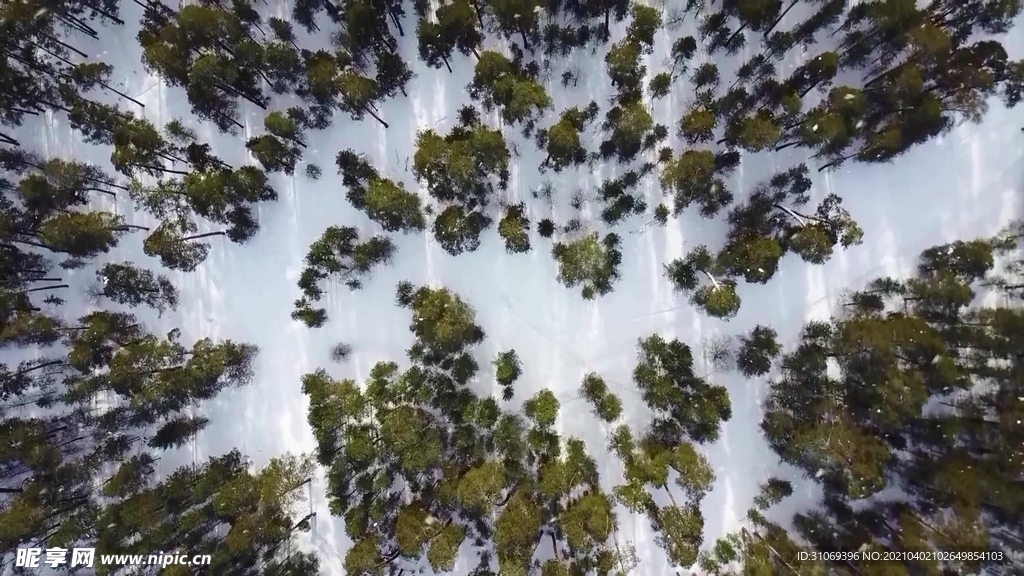 航拍素材冬季原始森林上空的美景
