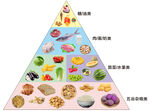 营养食物三角塔