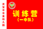 训练营旗帜