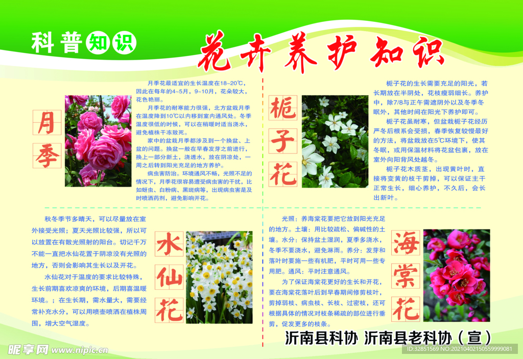 科普知识 花卉养护
