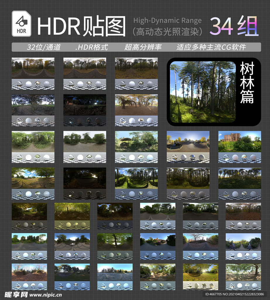 HDR贴图 树林环境贴图