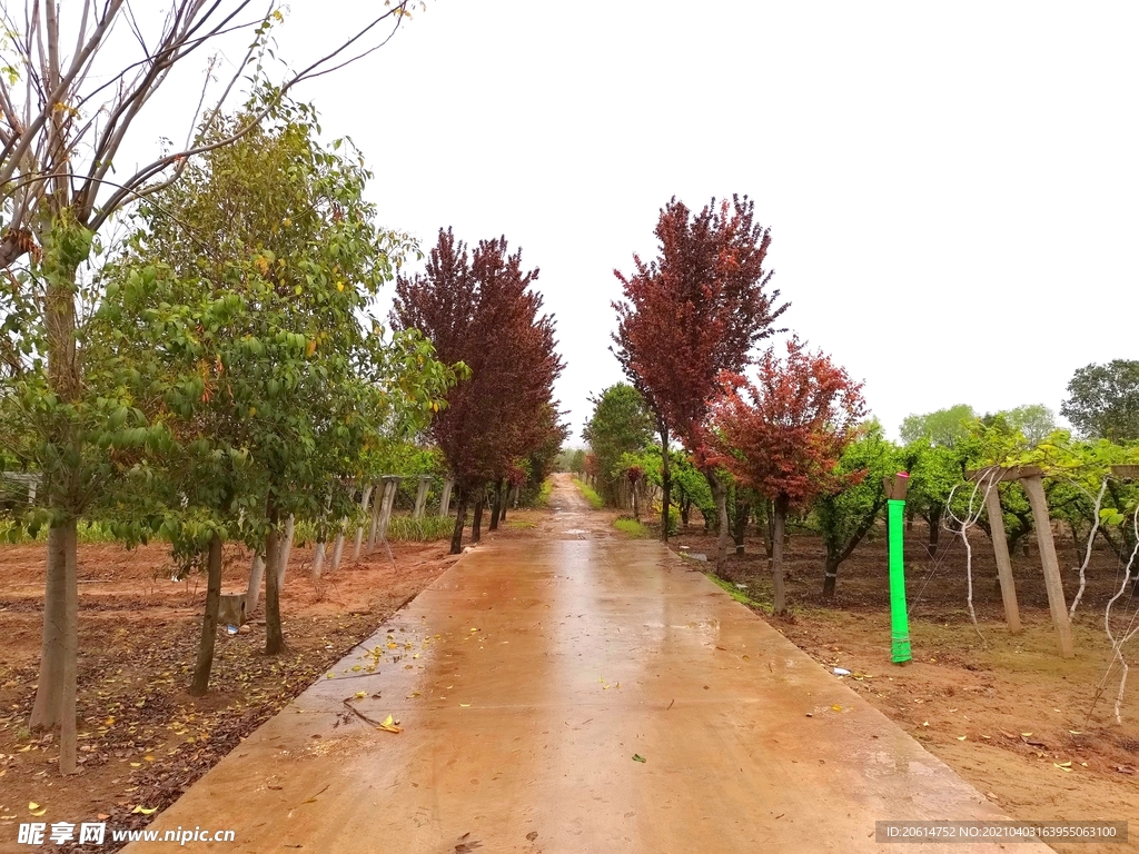 雨天的乡村道路风景