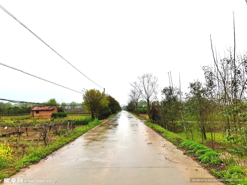 雨天的乡村道路风景