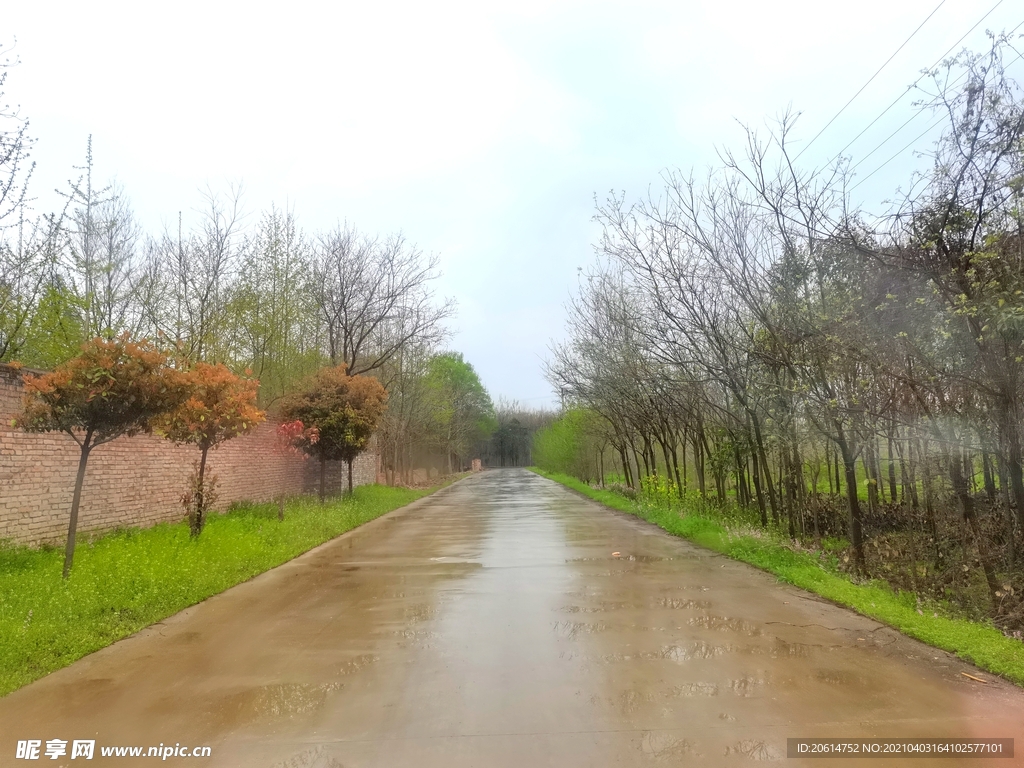 雨天的乡村道路