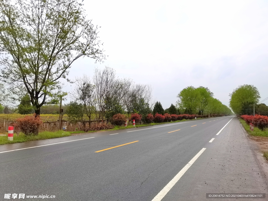美丽的乡村道路风景