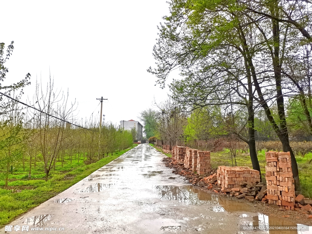 雨天的乡村道路风景