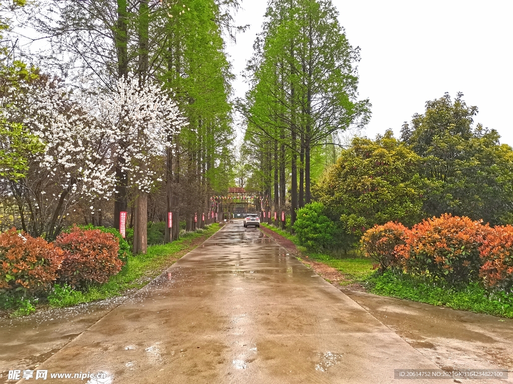 雨天的乡村道路风景