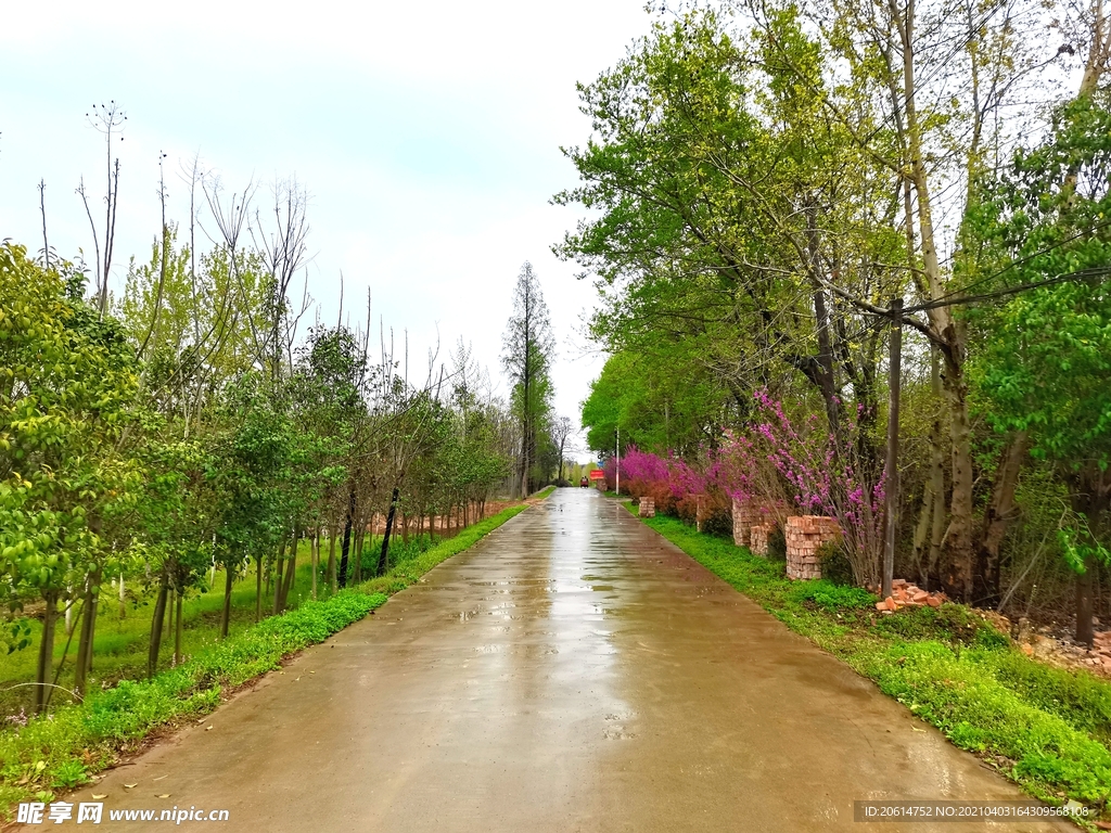 雨天的乡村道路美景