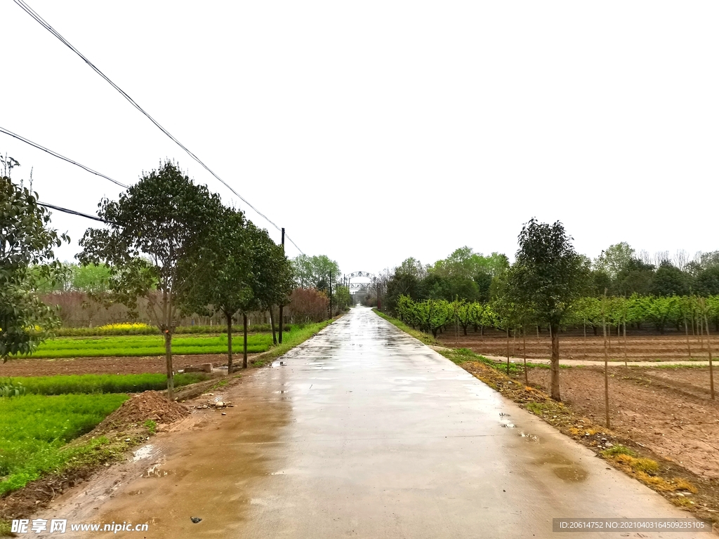 雨天的乡村道路