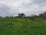 良渚古城遗址公园