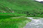 西藏风景 草原