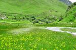 西藏风景草原高山