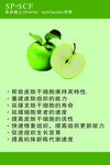 苹果特点