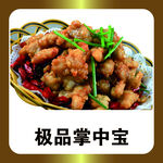 极品掌中宝