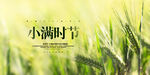 小满时节