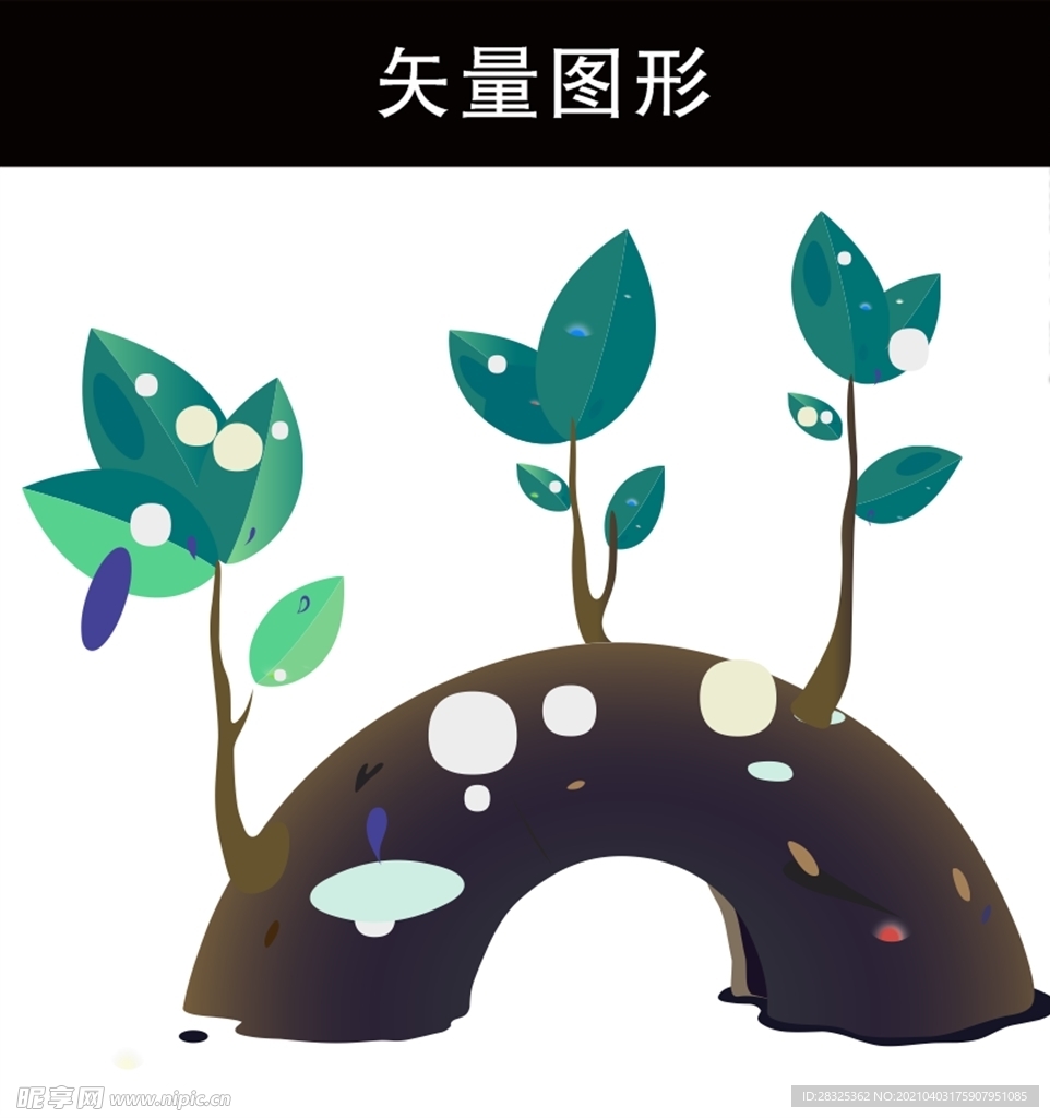 创意植物