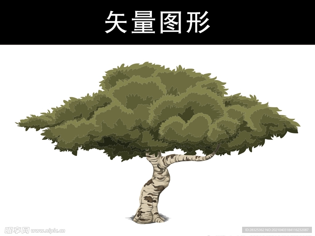 大树