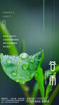 谷雨