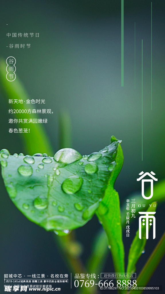 谷雨