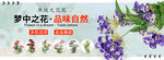 仿真花 花艺 海报 店招