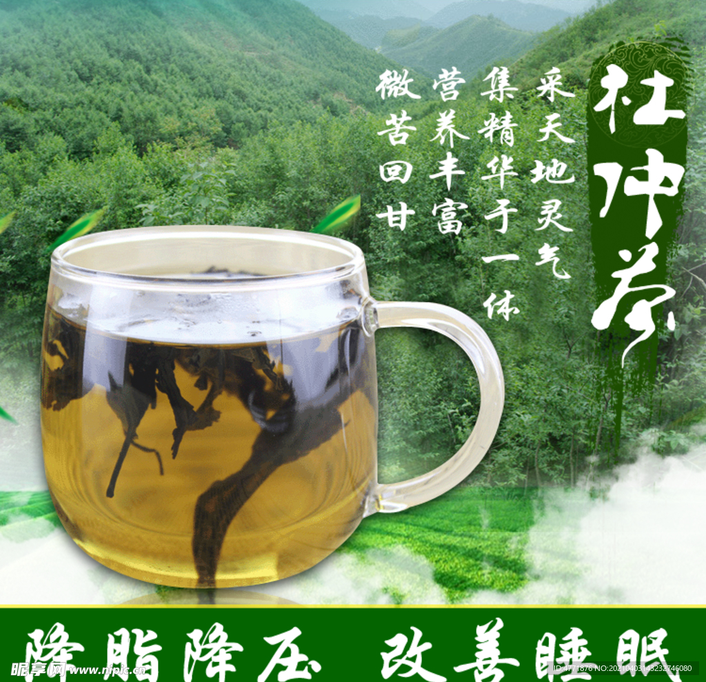 杜仲茶