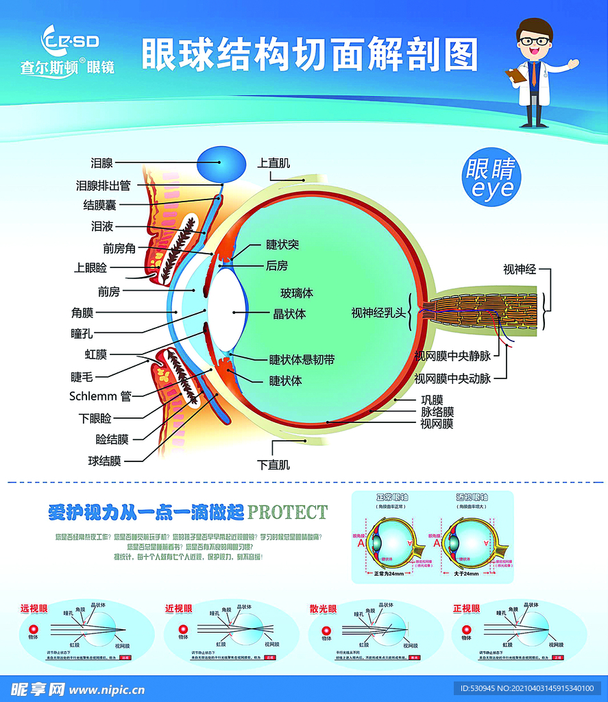 查尔斯顿眼镜解刨图