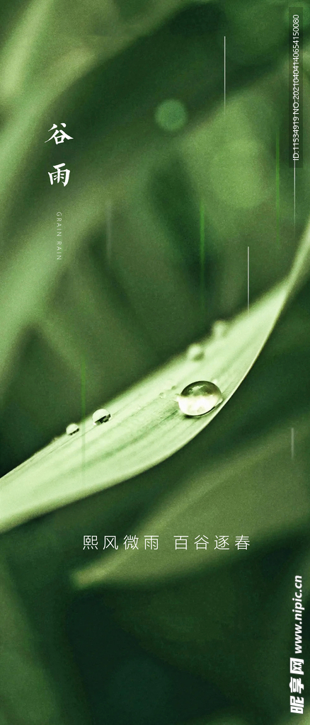 谷雨节气海报
