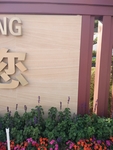 现代建筑