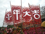 牛年