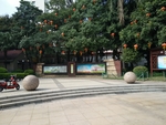 公园