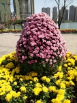 花瓶