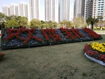 花坛