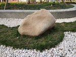 石头