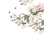卡通装饰鲜花花朵元素
