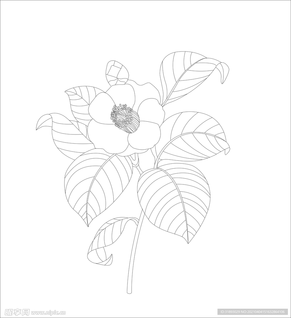 花