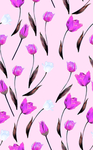 玫瑰花