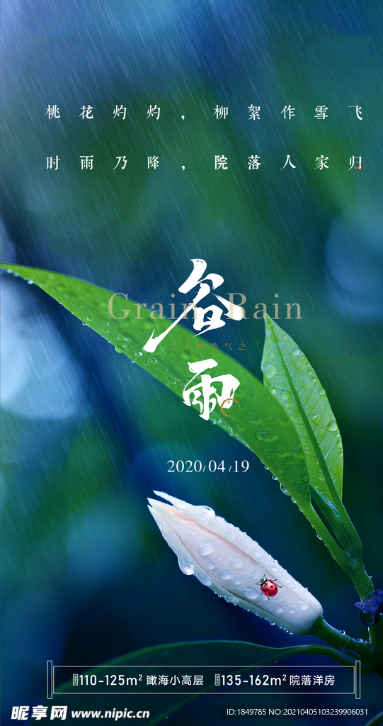 谷雨