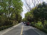 游客