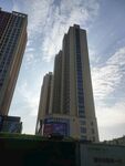 城市