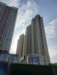 城市