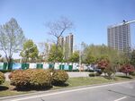 城市
