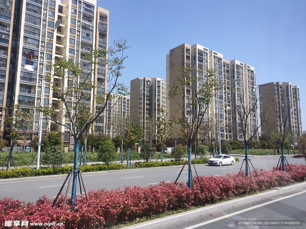 城市