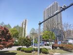城市