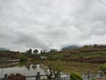 山水
