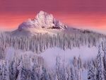 雪景